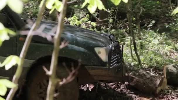 SUV expedicionário lentamente atravessa a floresta . — Vídeo de Stock