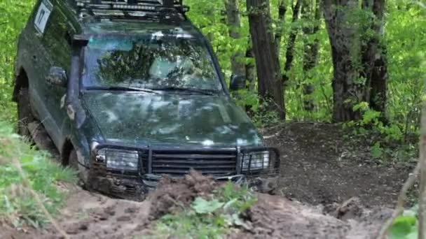 SUV expedicionário dirigindo lentamente através de uma vala na floresta . — Vídeo de Stock