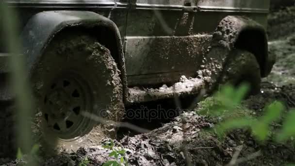 Černá Suv uvízl v bahně v lese, dráhy pro terénní vozidla — Stock video