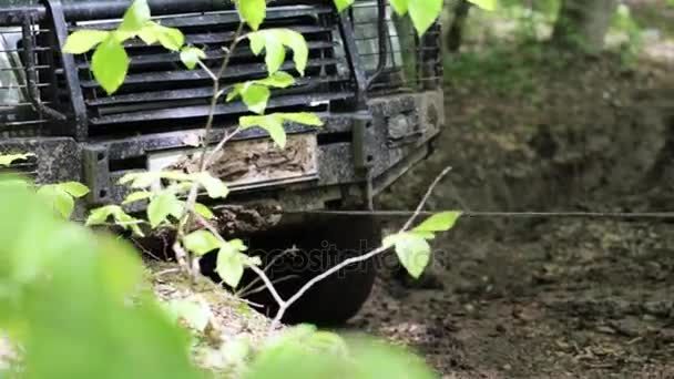 Экспедиционный внедорожник застрял в лесу и пытается выбраться через лебедку. . — стоковое видео
