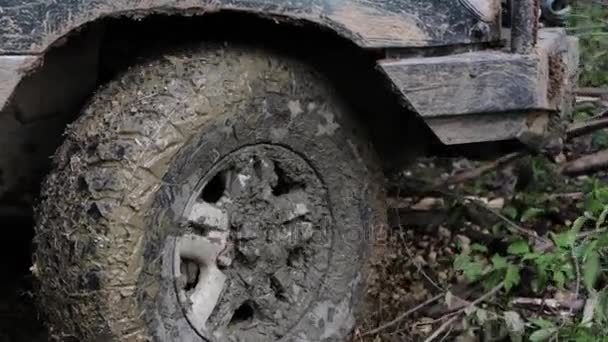 Экспедиционный внедорожник медленно проезжает по лесу по грязной дороге . — стоковое видео