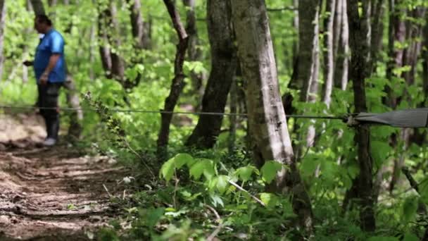 SUV expedicionaria quedó atrapado en el bosque y tratando de salir a través de cabrestante . — Vídeo de stock