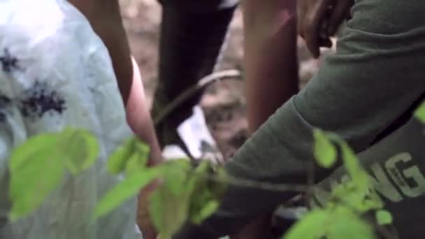 Grupp människor förbereder carabine för användning vinsch på forest. — Stockvideo