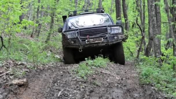 Expeditionary Suv rider genom skogen sakta på dirty road. — Stockvideo