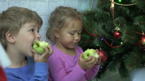 Menino e menina se senta no chão e comer maçãs ao lado de uma árvore de Natal — Vídeo de Stock