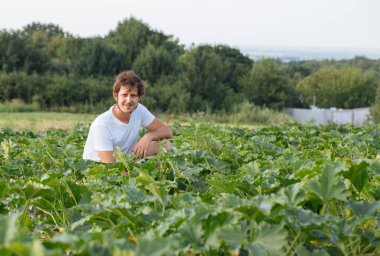 Organik tarım kabak sahasının oturan çiftçi