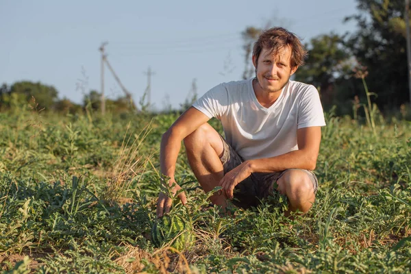 Jovem agricultor a verificar o seu campo de melancia na quinta ecológica biológica — Fotografia de Stock