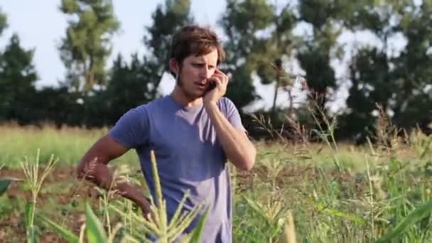 Un agriculteur parle sur son téléphone portable dans un champ de ferme écologique biologique — Video