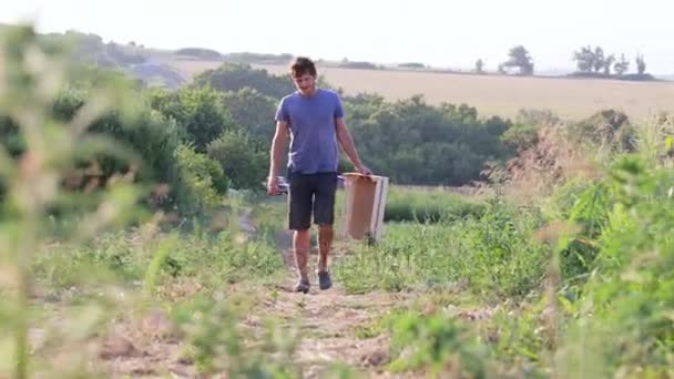 Молодой фермер выходит на поле с пустым деревянным ящиком для сбора урожая дыни . — стоковое видео