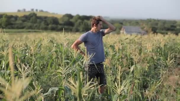 Jóvenes agricultores de pie y descansando mientras trabajan en el campo de maíz de la granja orgánica — Vídeos de Stock