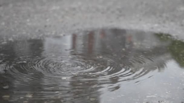 Σταγόνες της βροχής στην επιφάνεια νερού — Αρχείο Βίντεο