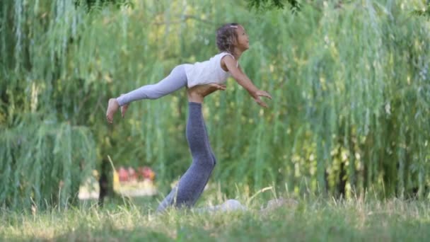 Madre e figlioletta fanno esercizio mattutino di yoga in un parco verde — Video Stock