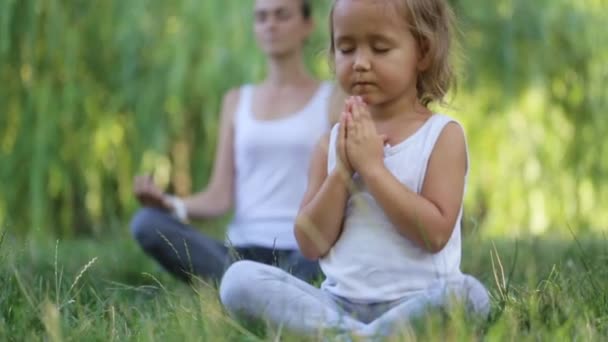 Mother and little daughter do morning yoga exercise in a green park — Stock Video