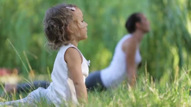Mother and little daughter do morning yoga exercise in a green park — Stock Video