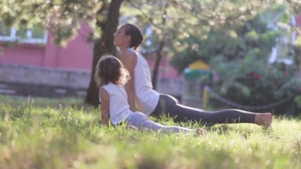 Madre e hija hacen ejercicio de yoga matutino en un parque verde — Vídeo de stock