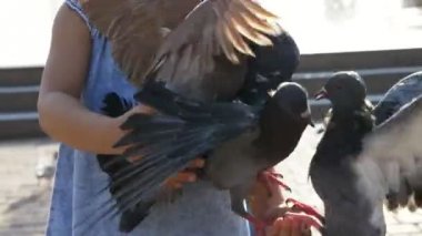 Küçük şirin kız yaz gün 4 k yavaş hareket park sokak güvercin besleme