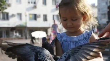 Küçük şirin kız yaz gün 4 k yavaş hareket park sokak güvercin besleme