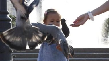 Parkta sokak güvercin besleme küçük şirin kız closeup portreit