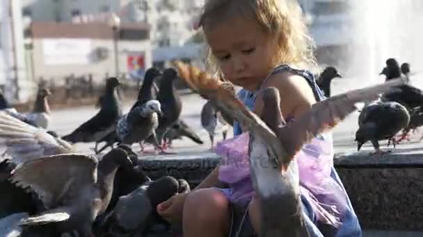 Χαριτωμένο κοριτσάκι που ταΐζουν τα περιστέρια street στο πάρκο καλοκαίρι ημέρα 4k αργή κίνηση — Αρχείο Βίντεο