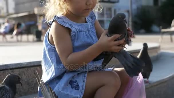 Niña linda alimentación de palomas callejeras en el parque en el día de verano 4K cámara lenta — Vídeos de Stock