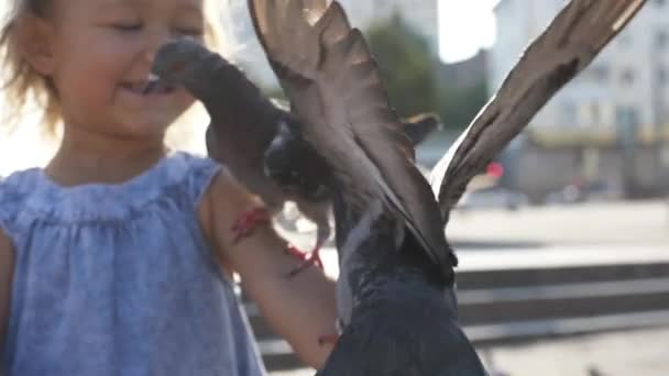Närbild portreit av lilla söta tjejen utfodring gatan duvor i parken — Stockvideo