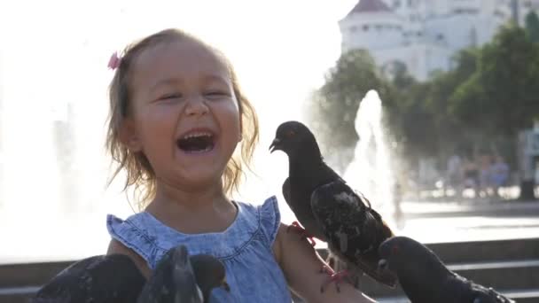 Primer plano portreit de niña linda alimentación de palomas callejeras en el parque — Vídeo de stock