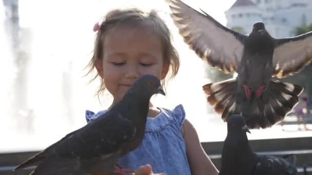 Closeup portreit of little cute girl feeding street pigeons in the park — Stock Video