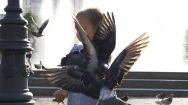 Parkta sokak güvercin besleme küçük şirin kız closeup portreit