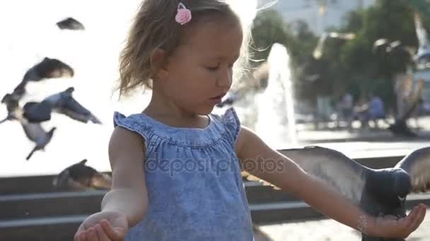 Портрет маленькой милой девочки, кормящей уличных голубей в парке — стоковое видео