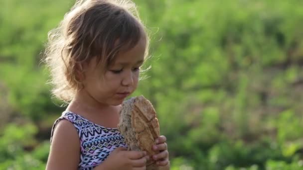 Retrato de una niña comiendo pan casero en el campo de la granja ecológica — Vídeos de Stock