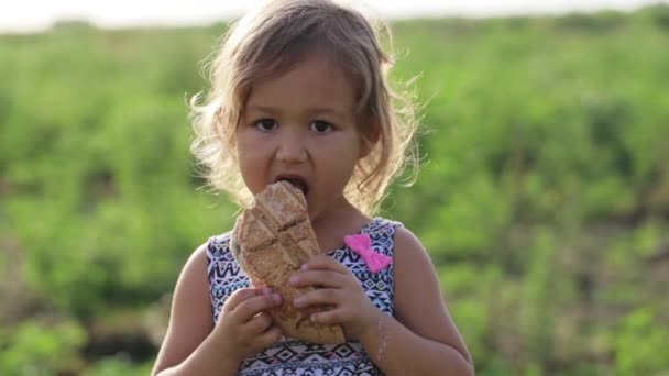 Portrait of little girl eating homebaked bread on the field of organic eco farm