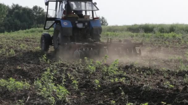 Tractor arando el campo de arado de tierra negra por la mañana cubierto de malas hierbas — Vídeos de Stock