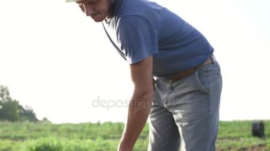 Çiftçi otlar organik Eko çiftliğinde genç büyüme ile Mısır alanında çapa kaldırır