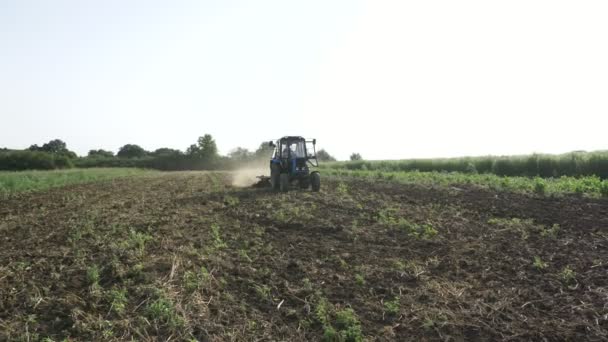 Agricultural tractor sowing and cultivating field at organic eco farm — Stock Video