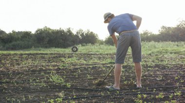 Çiftçi otlar organik Eko çiftliğinde genç büyüme ile Mısır alanında çapa kaldırır
