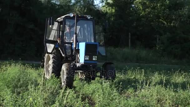 El tractor atraviesa el campo de patatas. Recolección de patatas con tractor . — Vídeos de Stock