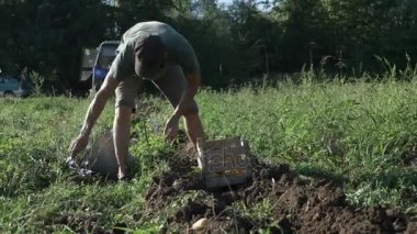 Genç çiftçi kova organik tarım sahasının içinde patates hasat