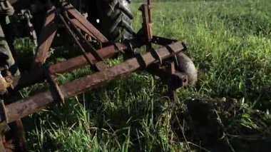 Traktör sürücüleri patates alan üzerinde. Traktör kullanma ile patates hasat.