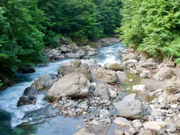 Mountain river, Abkhazia, Caucasus — Stock Photo, Image