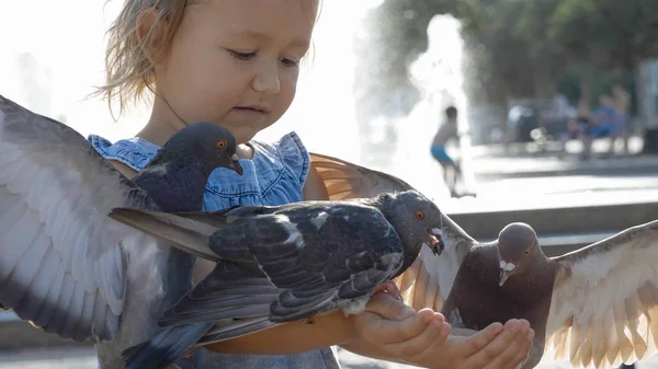 Retrato de cerca de una niña linda alimentando a palomas callejeras en el parque — Foto de Stock