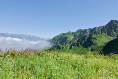 Güzel dağ manzarası ile kirli Road'da vahşi yaz