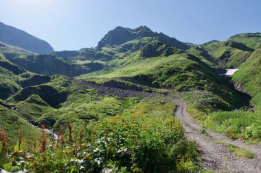 Güzel dağ manzarası ile kirli Road'da vahşi yaz