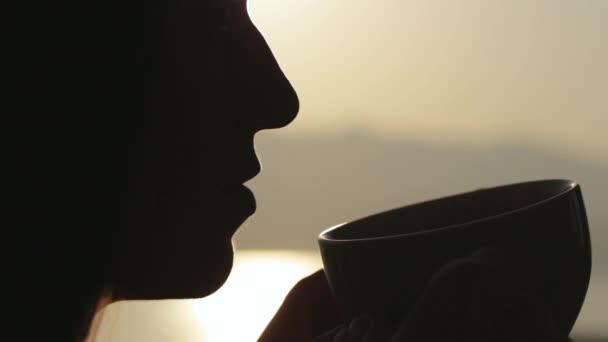 Primo piano volto silhouette di giovani donne si siede in un caffè e bere tè — Video Stock