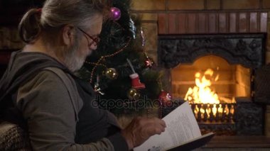 Komuta sizde kitap şömine ve Noel ağacı Noel arifesi okuma