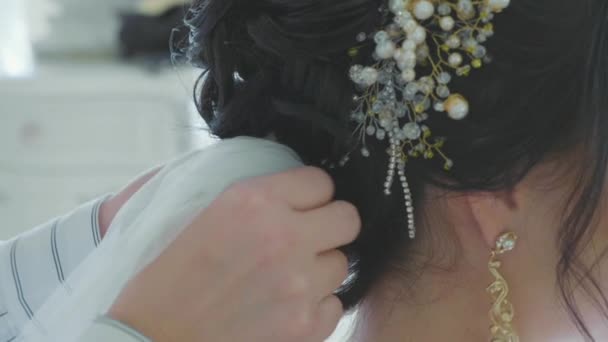 Styliste insérant un voile dans les cheveux des mariées avant le mariage — Video