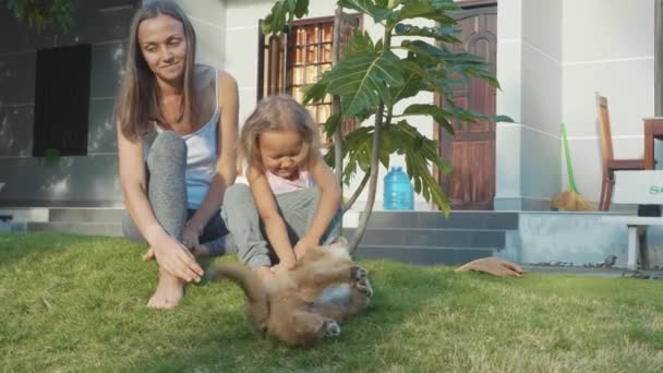 Мать и ребенок играют с щенком в теплый летний день на открытом воздухе в замедленной съемке — стоковое видео