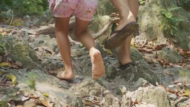 Мать с маленькой дочерью, идущей по лесной тропинке, вид сзади в замедленной съемке — стоковое видео