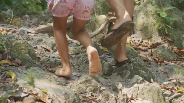 Madre con hija pequeña caminando por el sendero del bosque, vista trasera en cámara lenta — Vídeo de stock