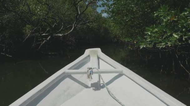 Navegando em um barco através da floresta de manguezais em câmera lenta — Vídeo de Stock
