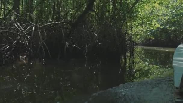 Парусный спорт на лодке через мангровый лес в замедленной съемке — стоковое видео
